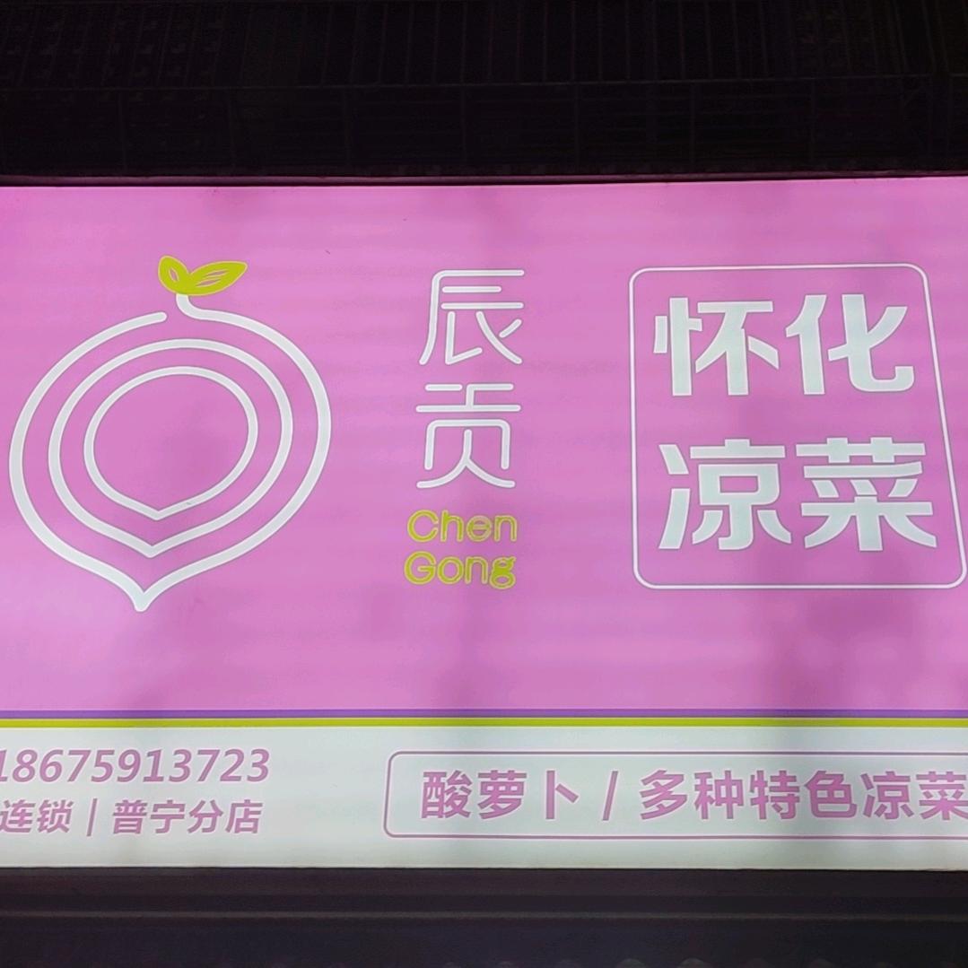 辰贡怀化凉菜(普宁市龙华里店)专用号