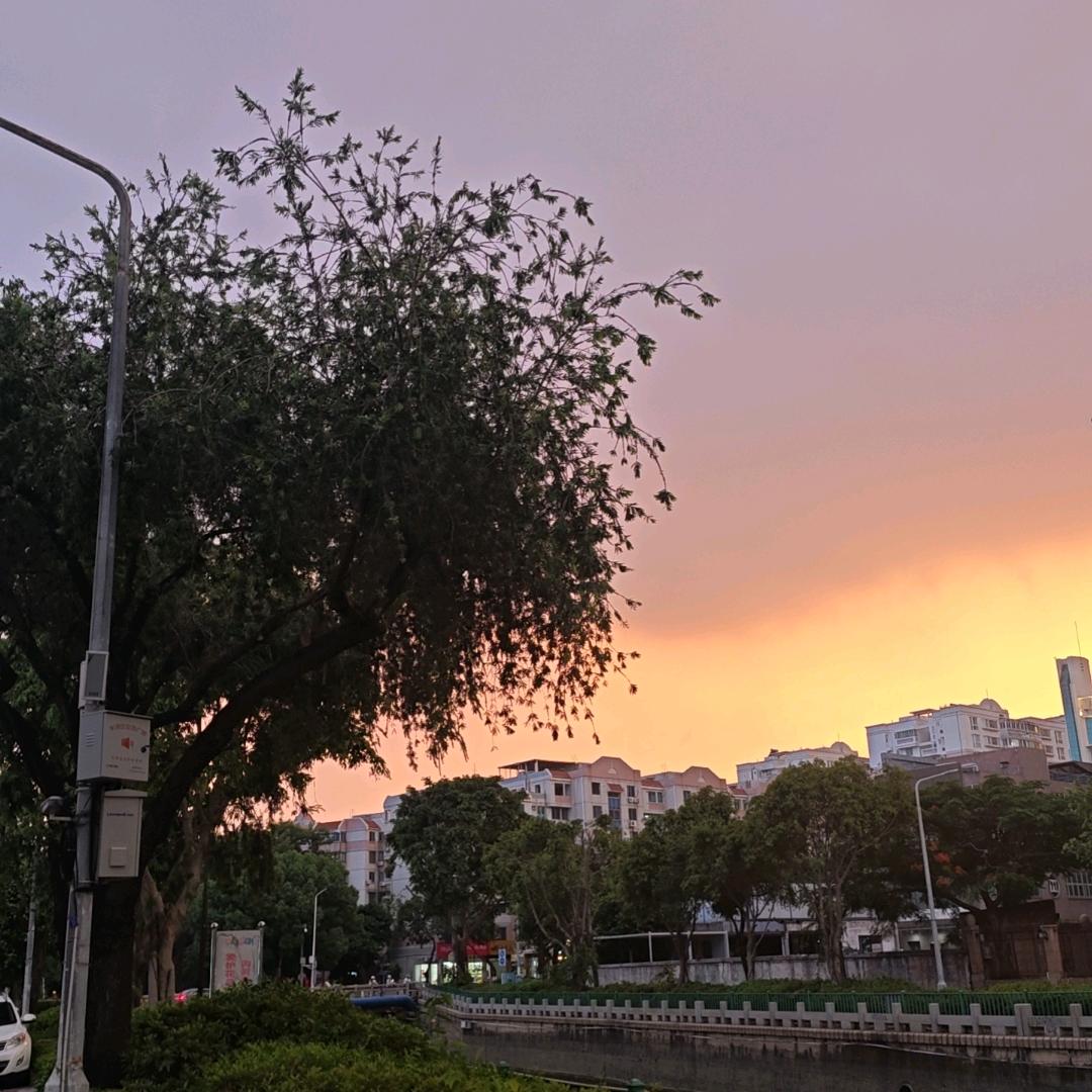 留一半清醒（康复中）