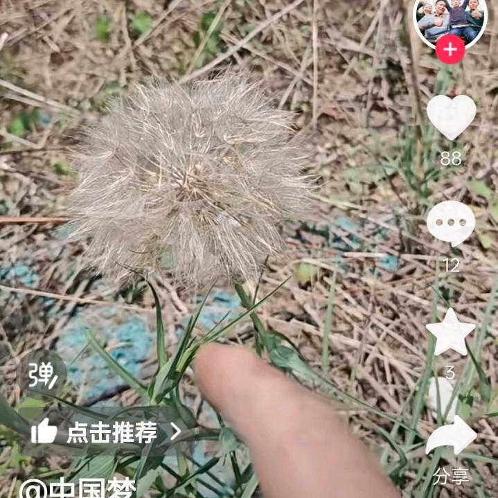 liutie