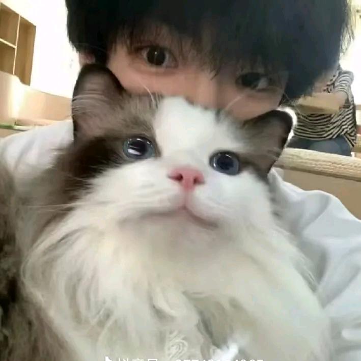 故里