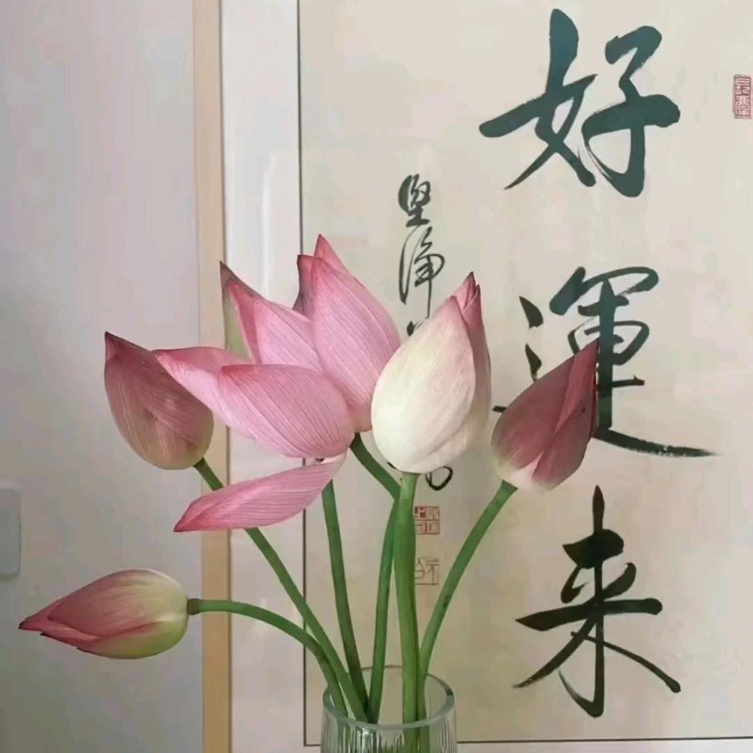 鱼饼