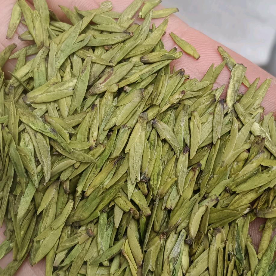 人生一杯茶