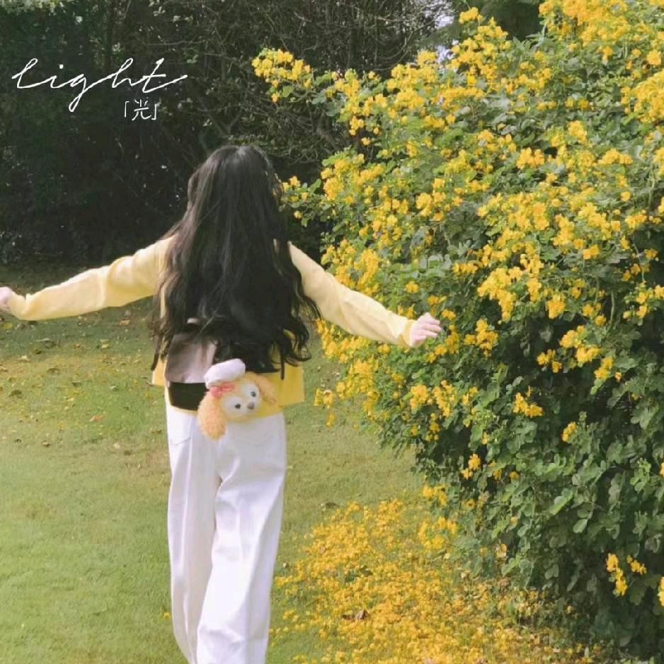 晨曦🌻🌻