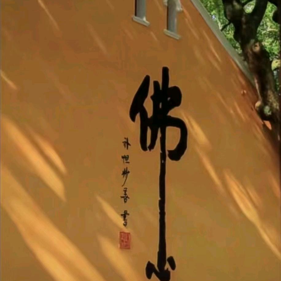 🌸🌸芳🌸🌸韵皇秋款上新中………