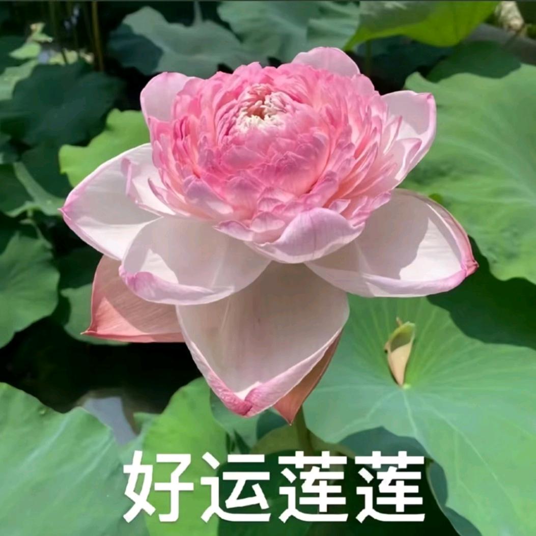 今生有缘