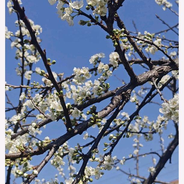 开心就好😀😀🤣