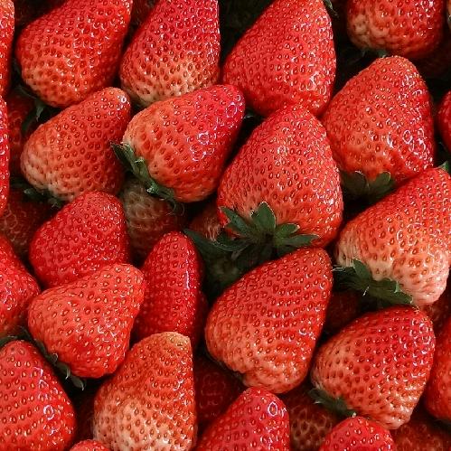 梦中缘分，🇨🇳