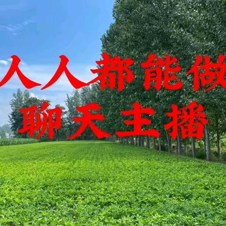 飞龙哥