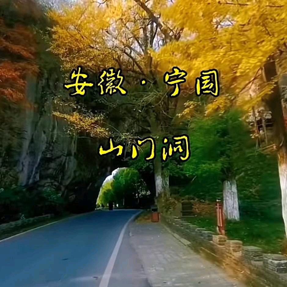 勇敢32号结婚