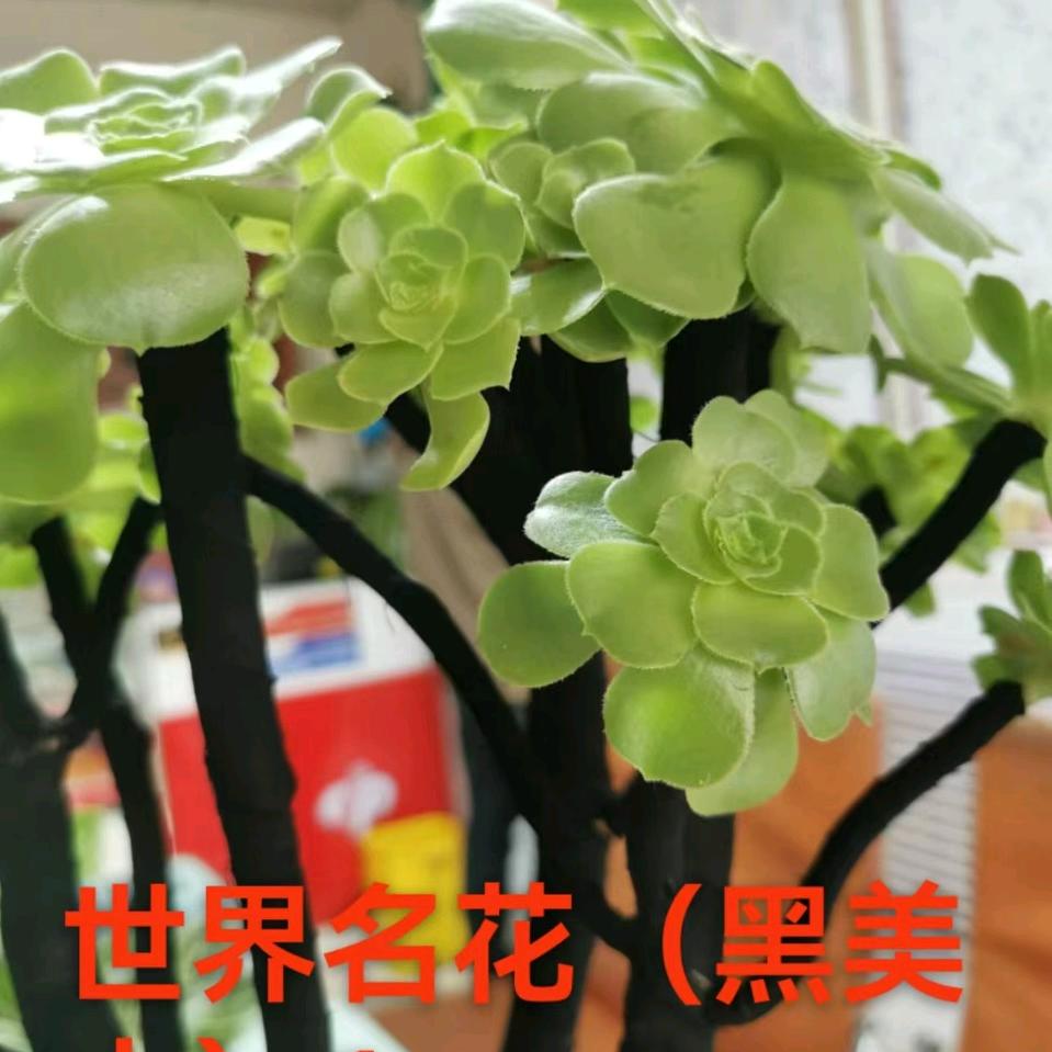 过好每一天