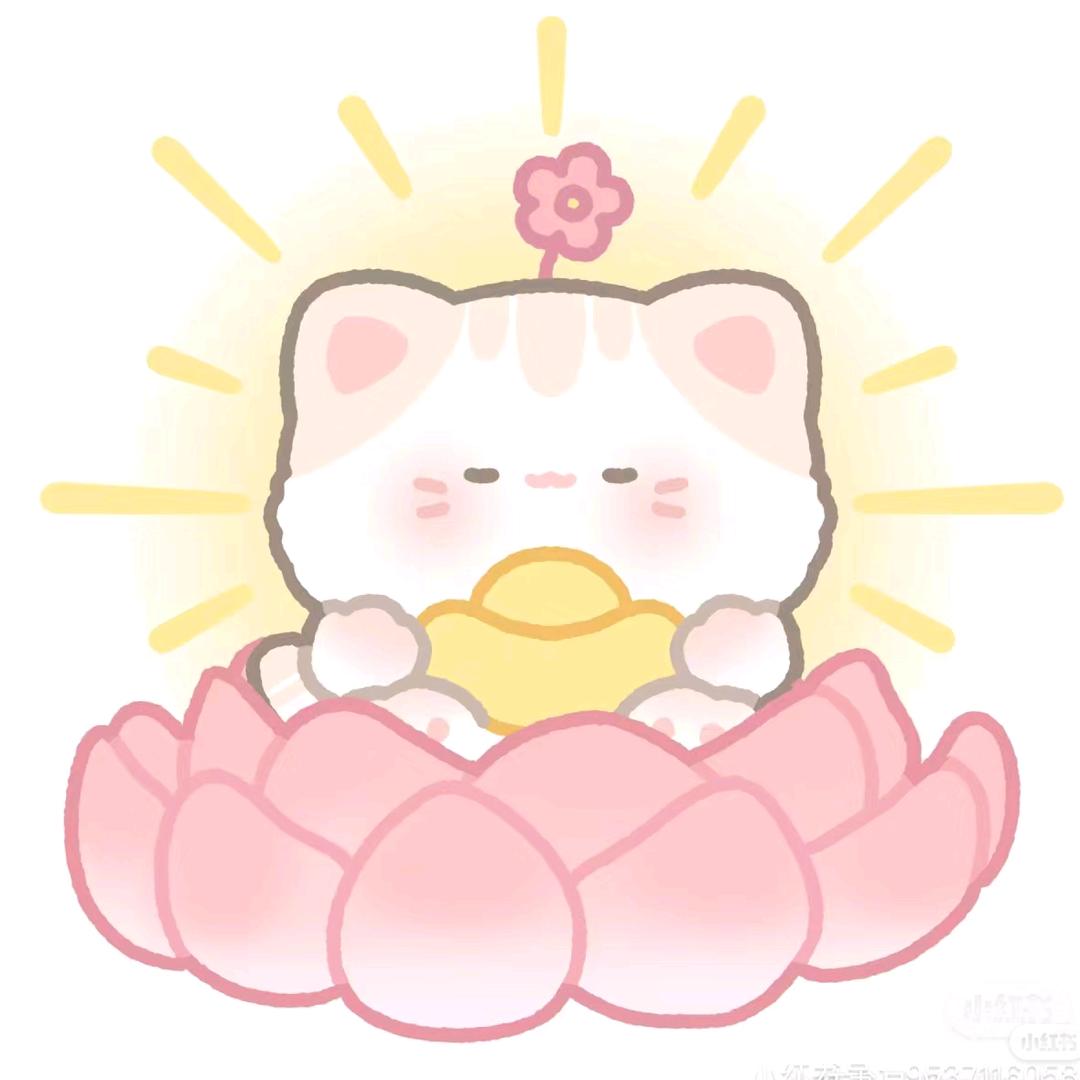 白鸽不会飞