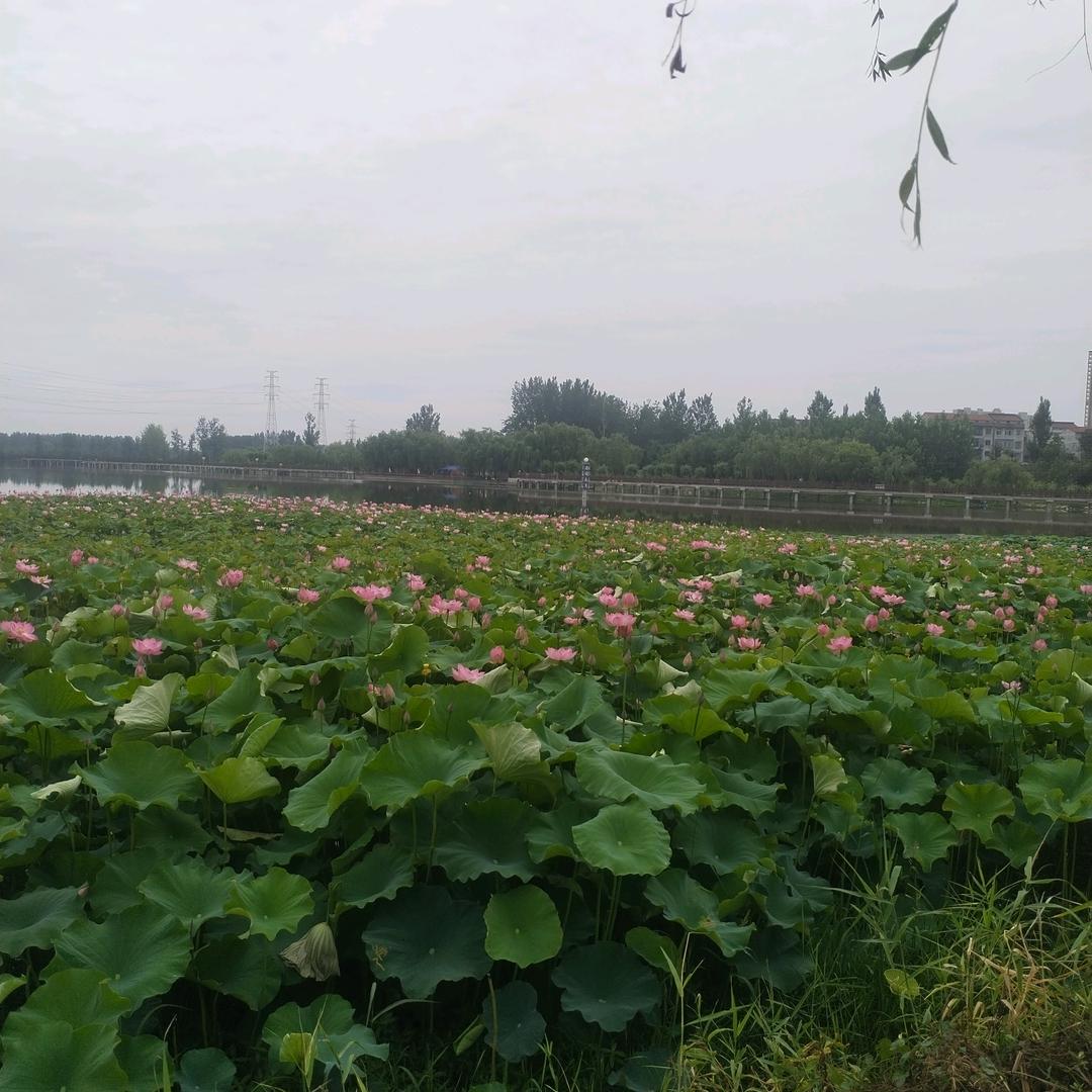 一笑解千愁