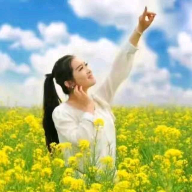 学会放下