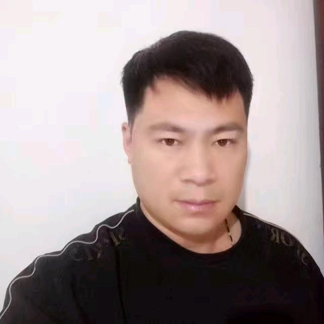 杨树苗～周心华