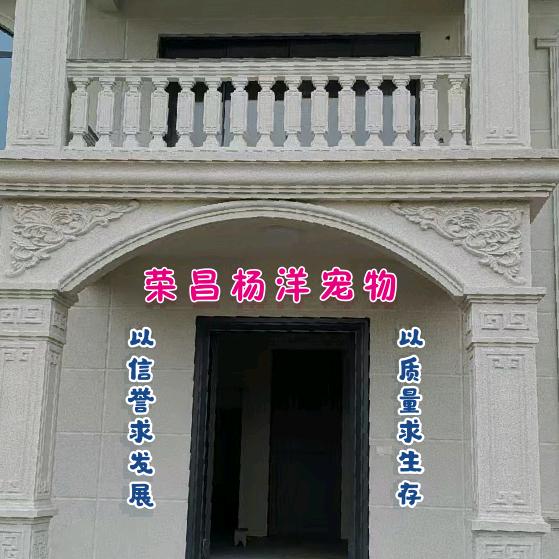 荣昌杨洋犬舍
