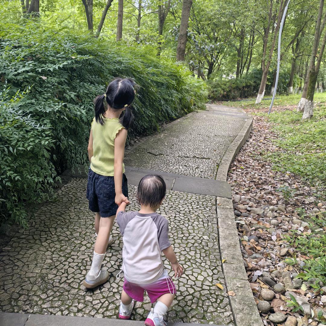 庭.艺