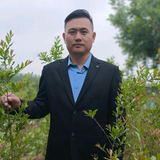 森然盆景花卉园艺