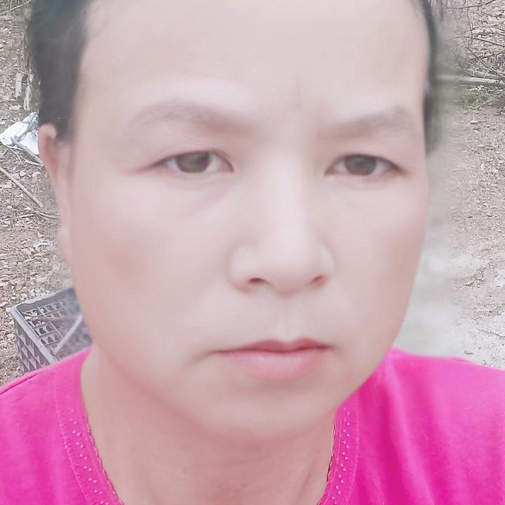 清凤