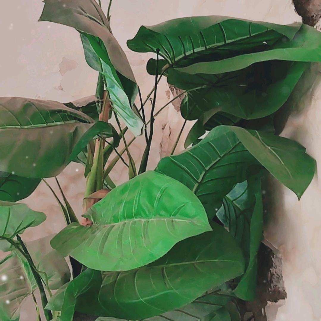风里雨你我等你。闪经主播。