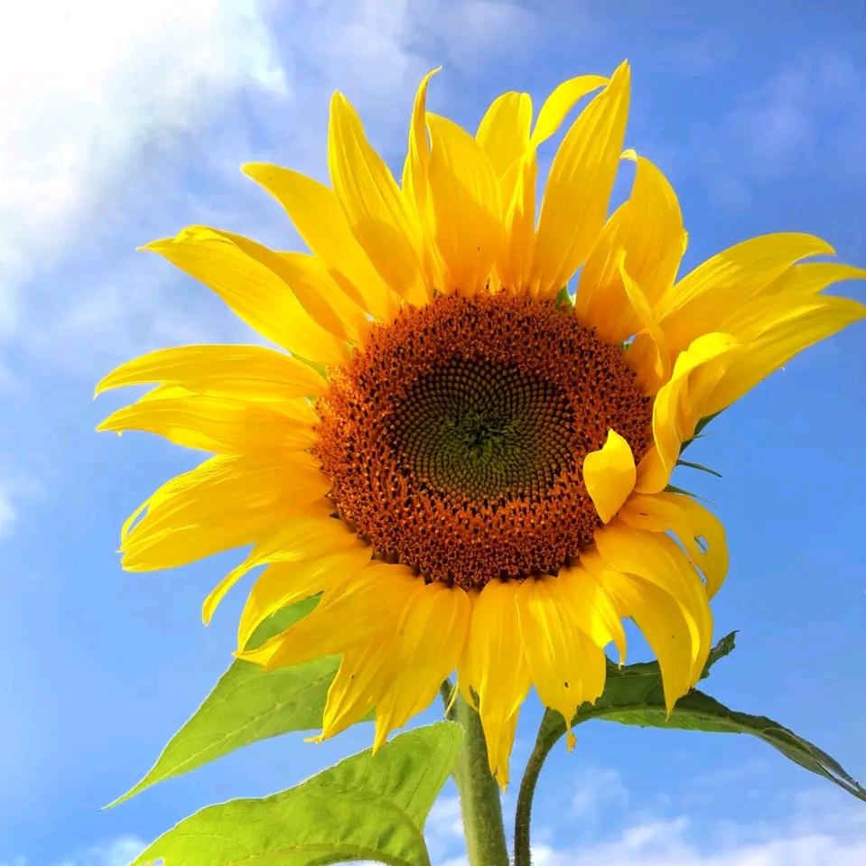 一切都是最好的安排