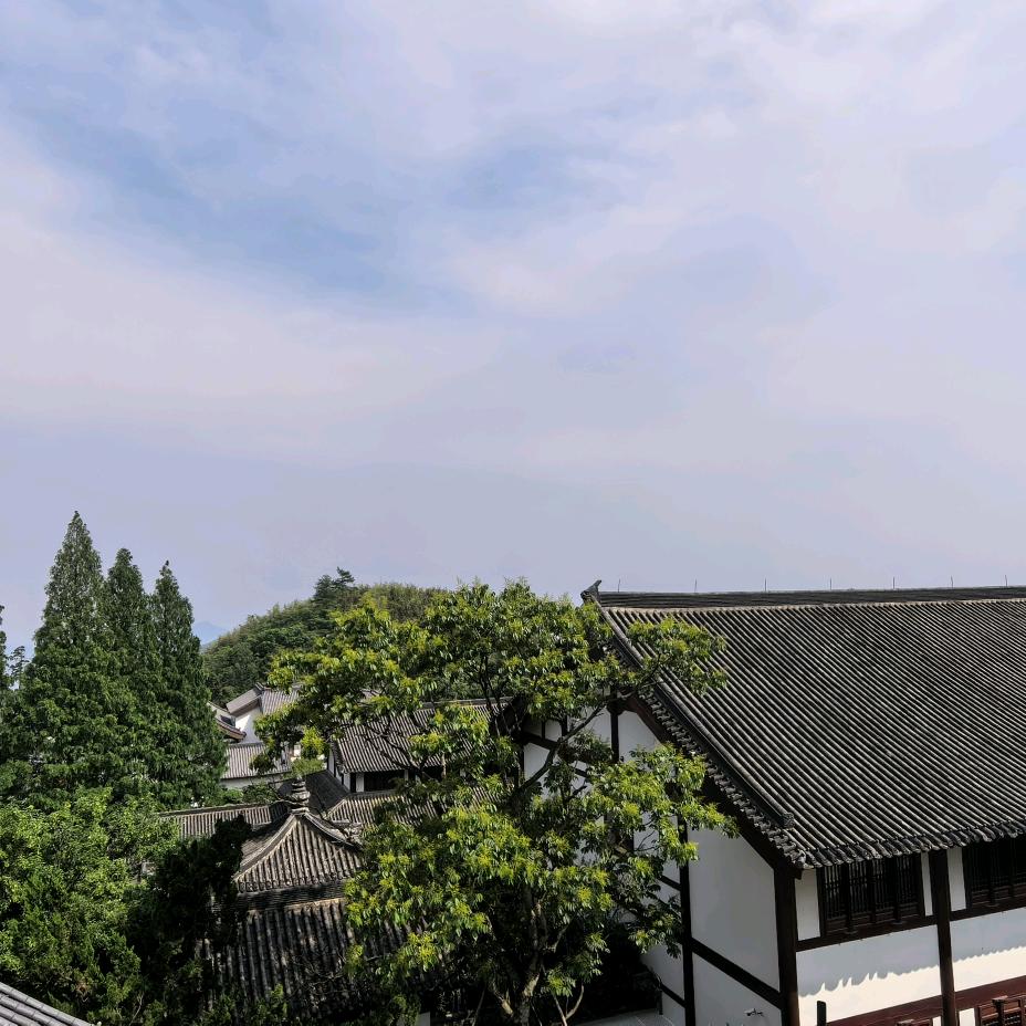 爱做手工的橙子