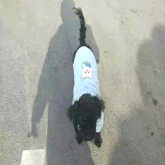 爱向阳光，不负岁月不负你