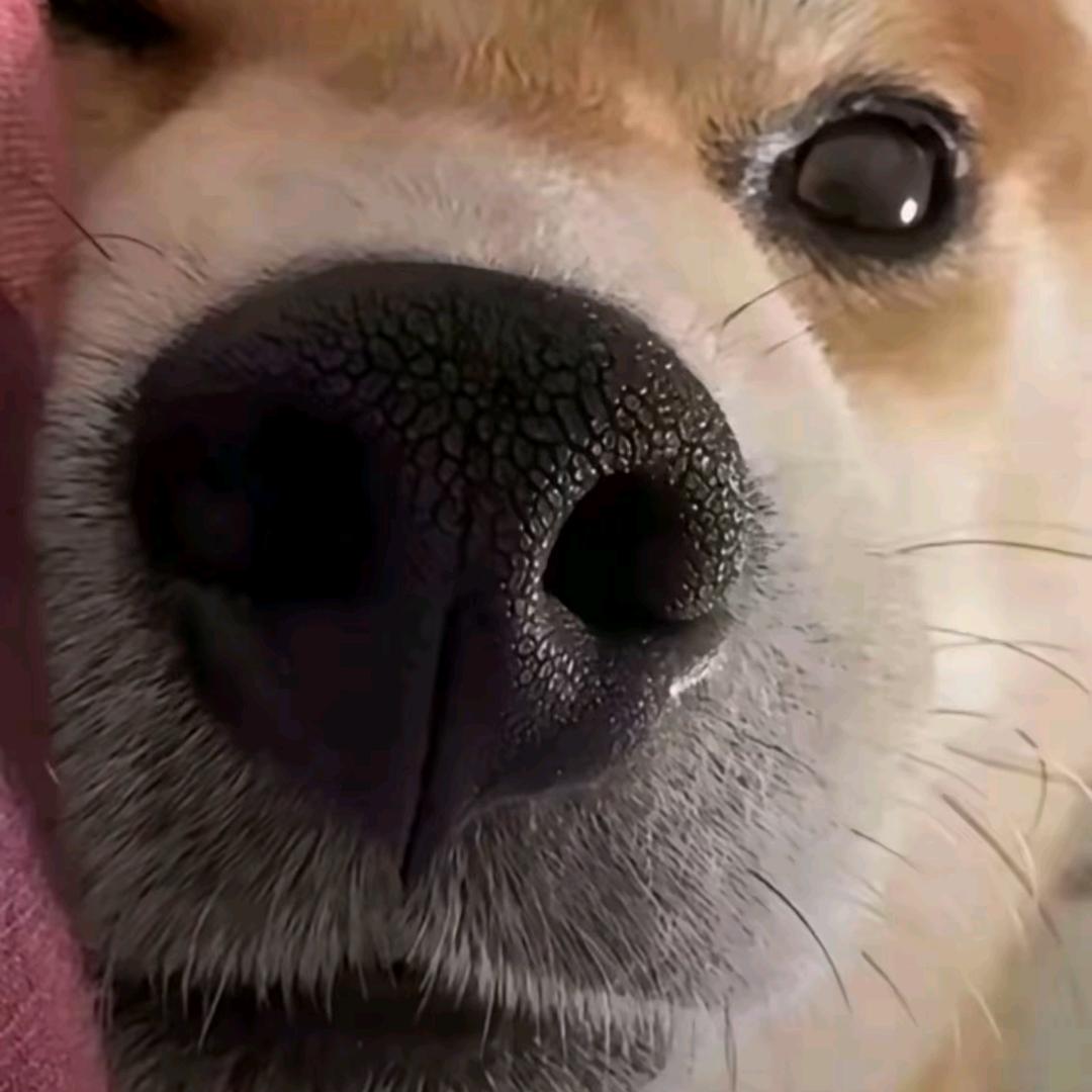 爱生活
