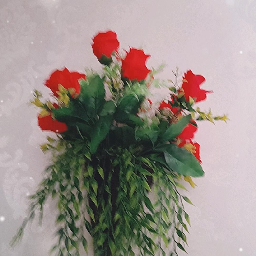 习惯独来独往