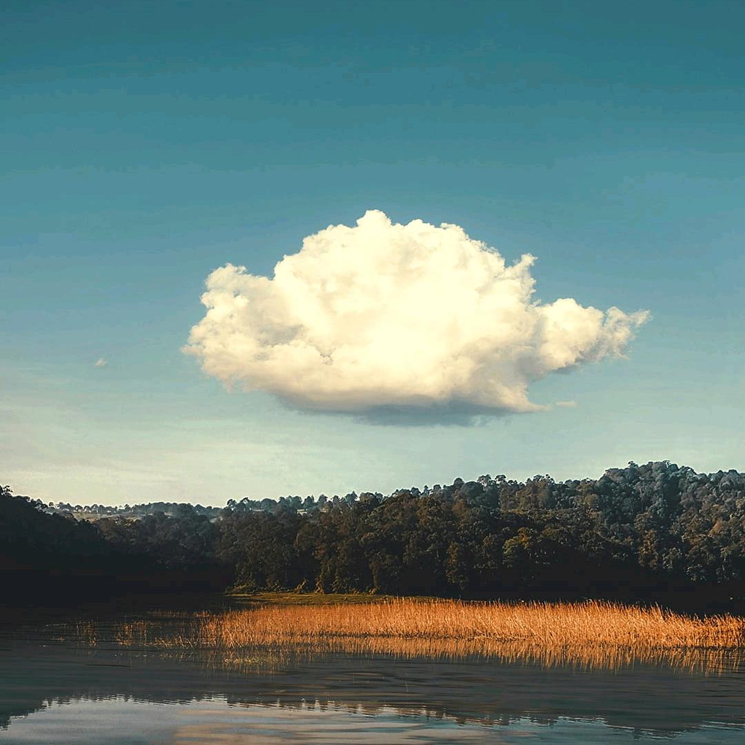 糖醋里脊没有鸡
