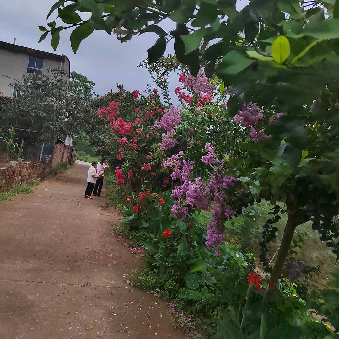 杨馍馍喜欢唱歌