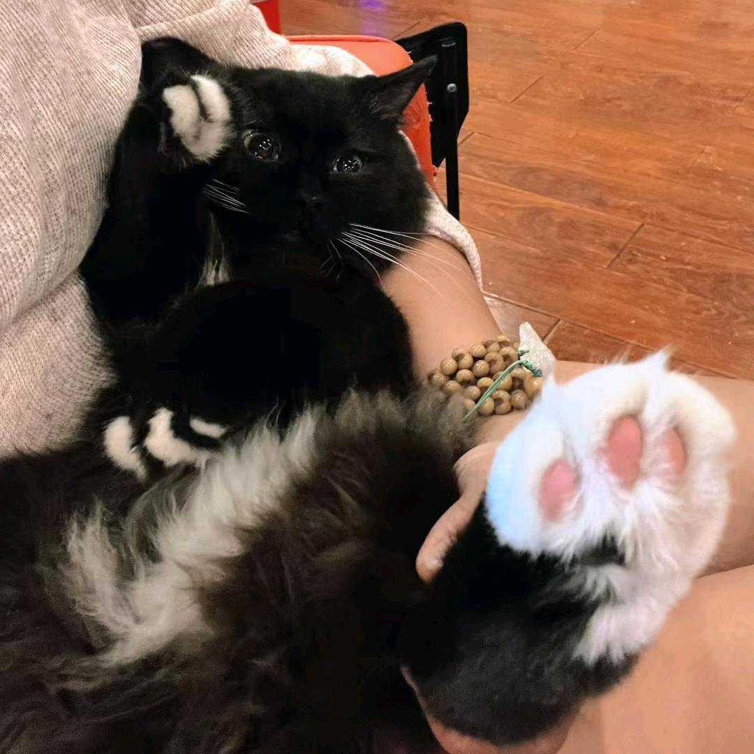 湖文咖啡屋官方YEIN