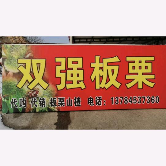 双强板栗特产店