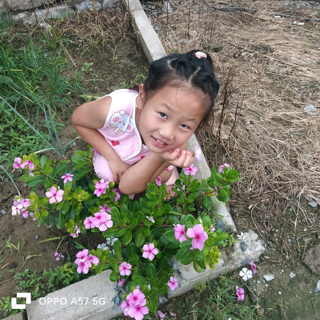 贺贺🌻🌼娇娇