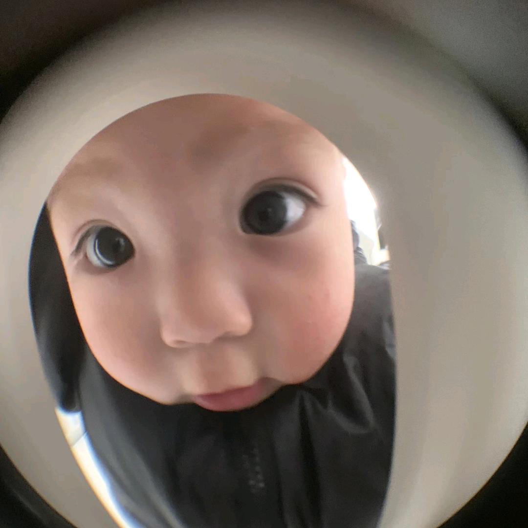 菠萝菠