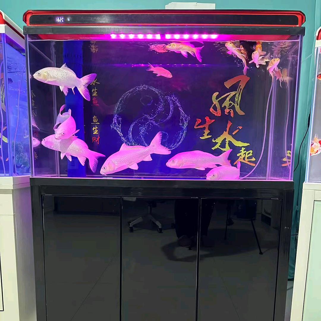 多米乐水族