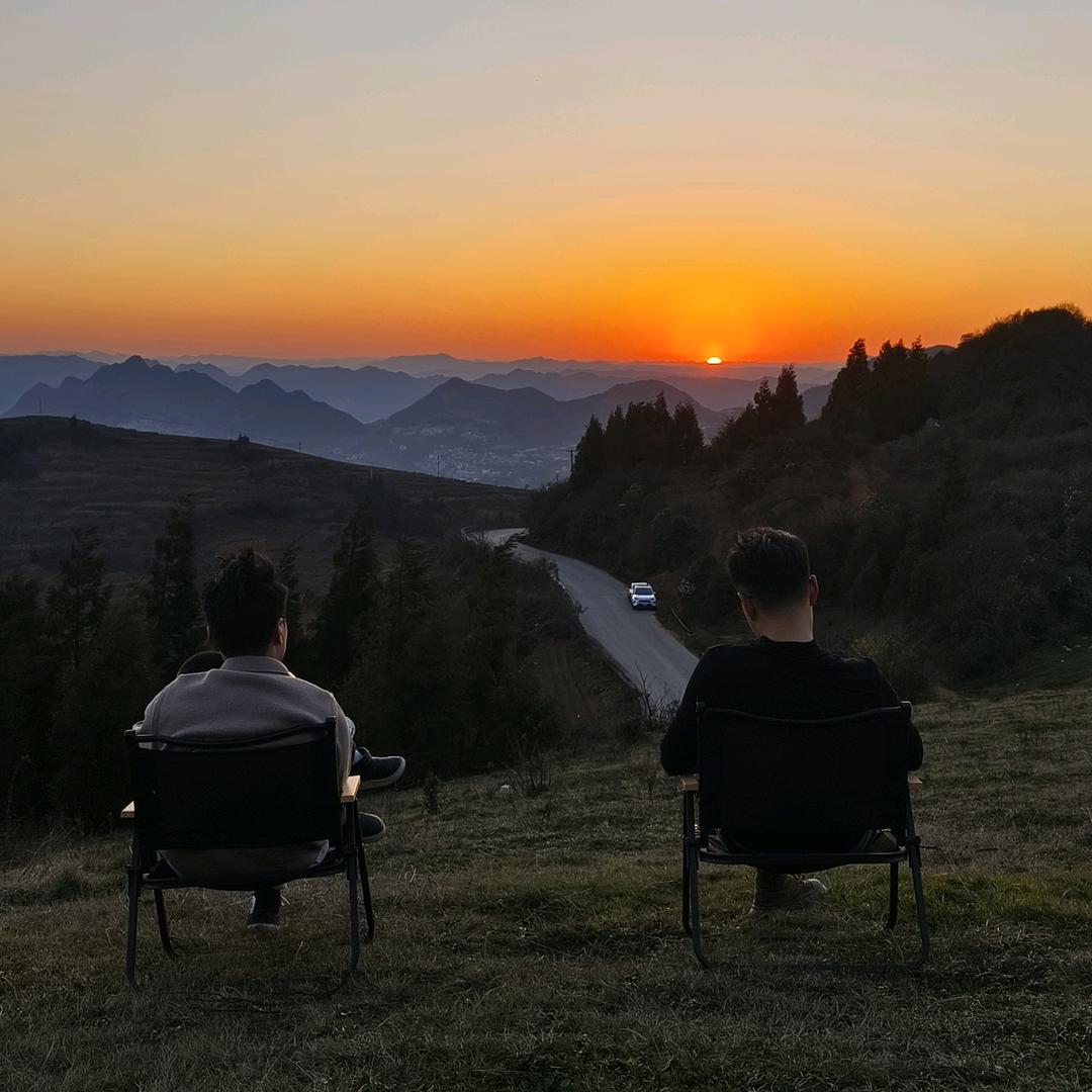 花开花落、枯木逢春~