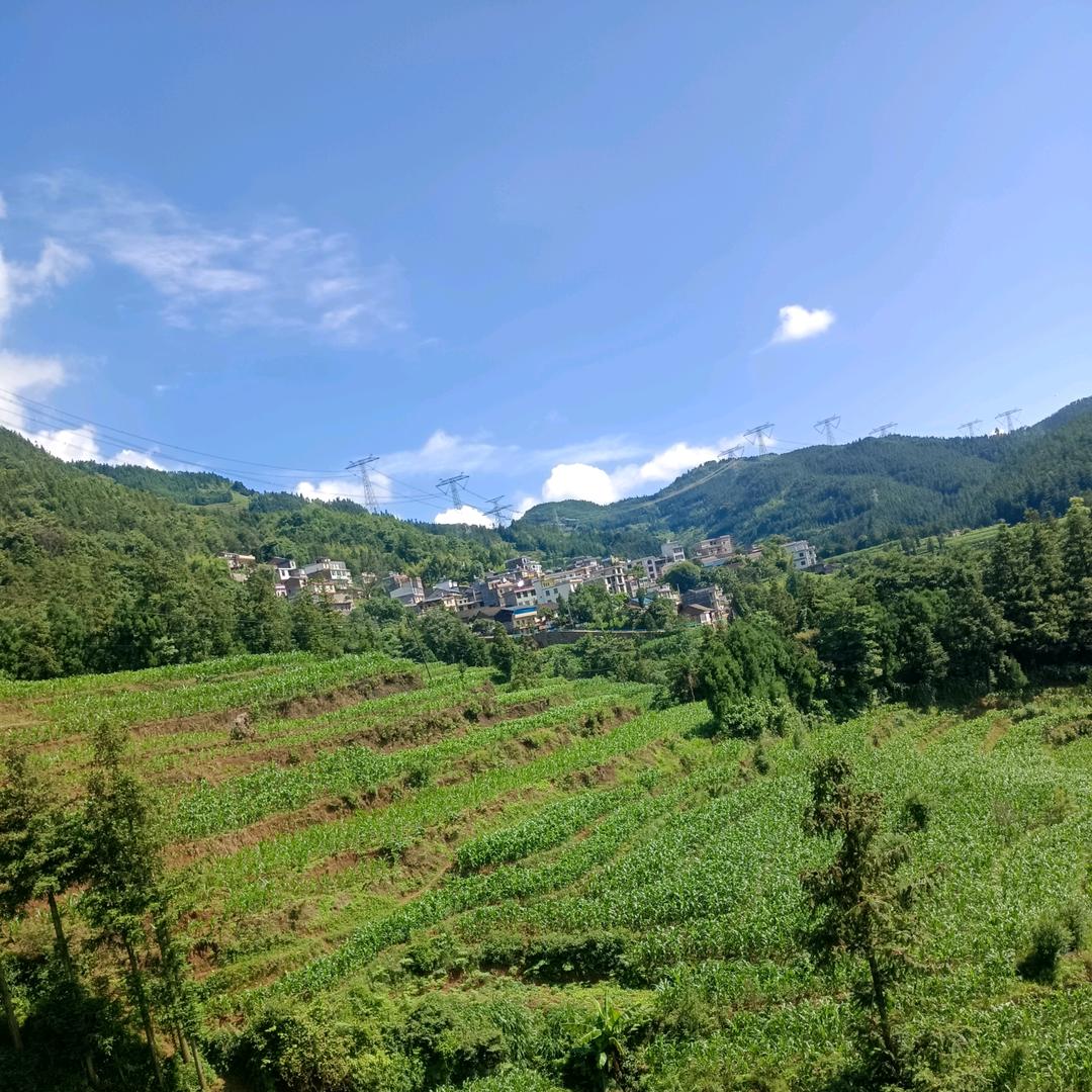 农村人《乡村风情摄影》