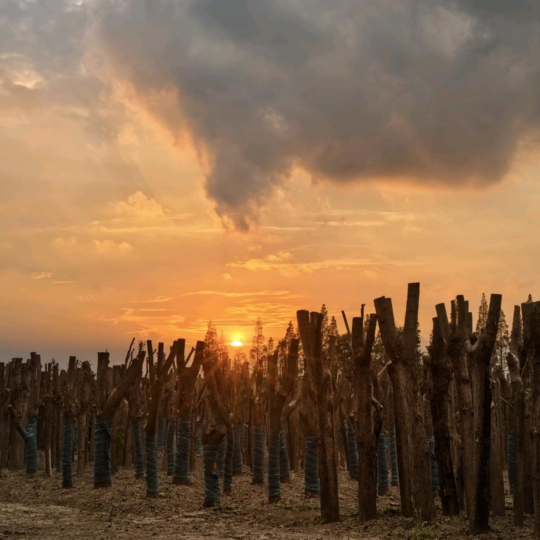 就这样吧🙆🏻‍♀️🌸