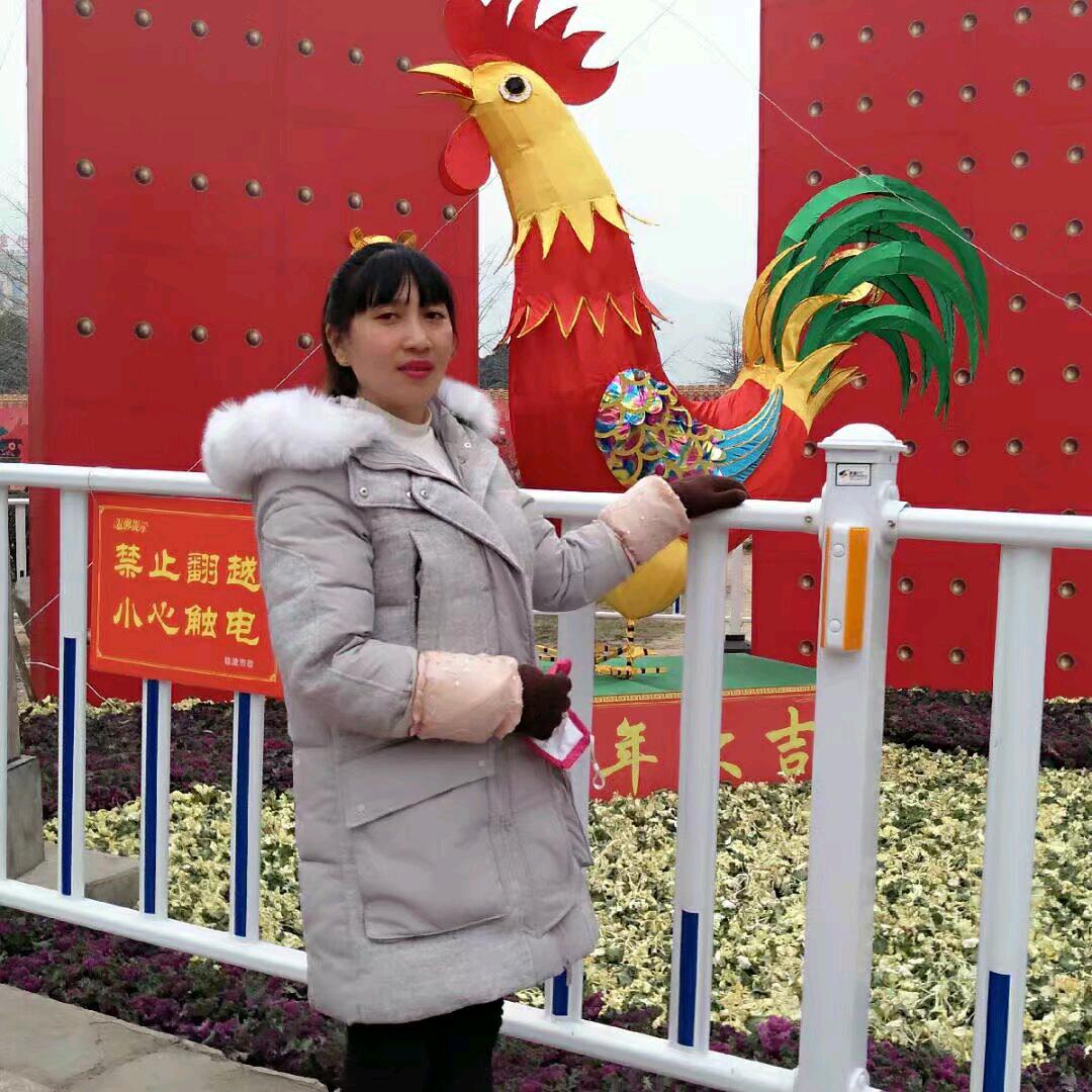 糖宝爱元宝