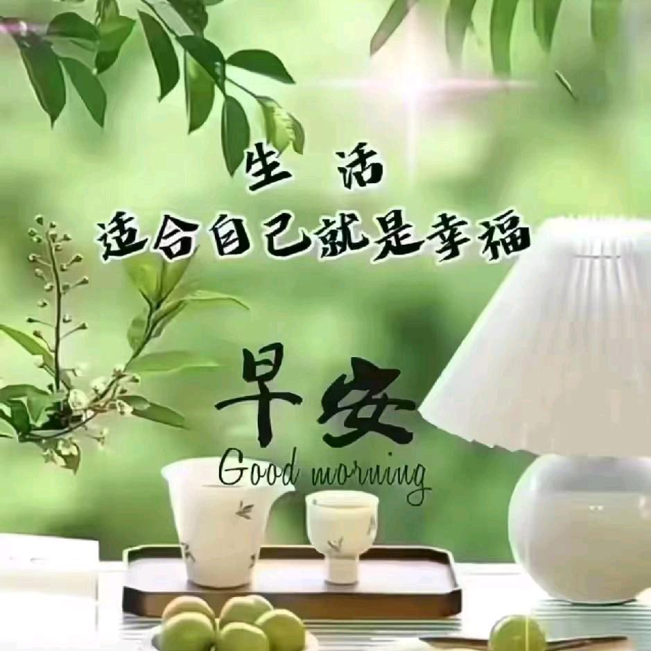 真情哥🎄❤️🌲