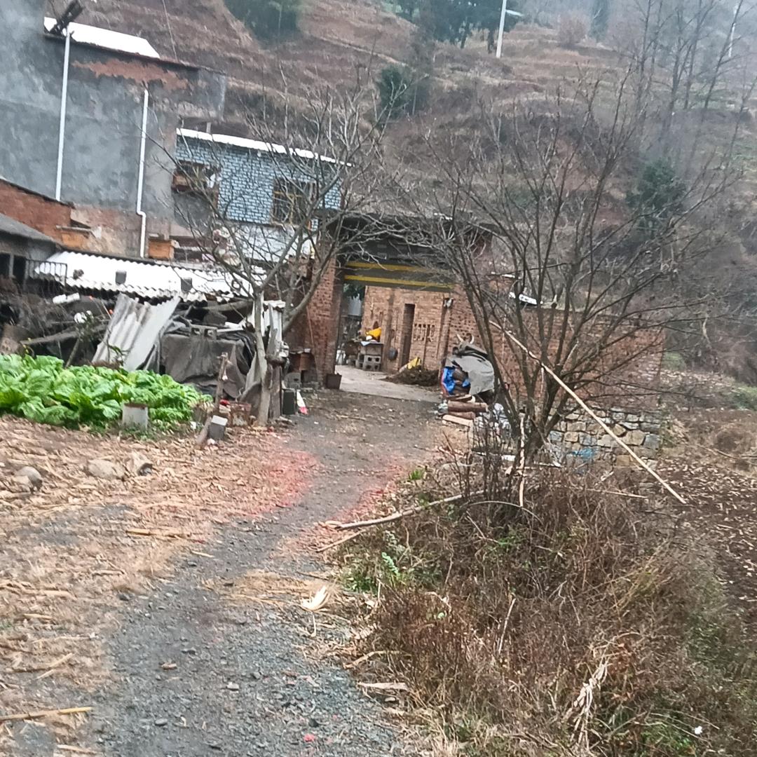 爱的力量头像