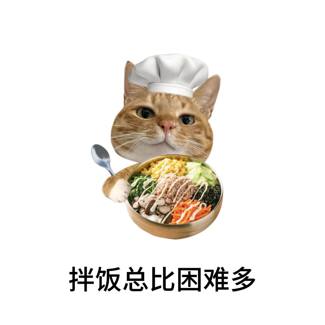 爱新觉罗康康
