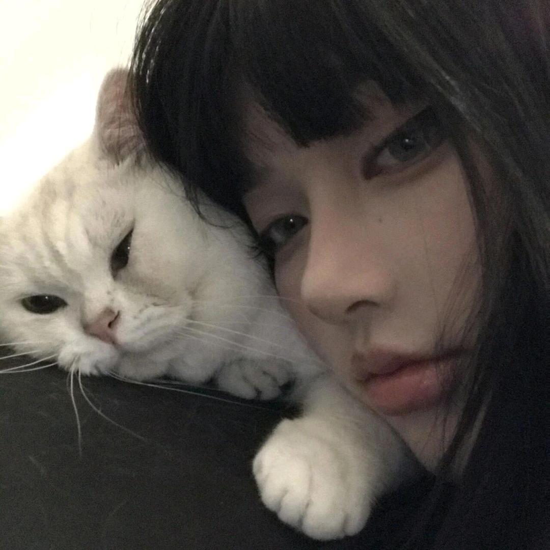 玫瑰