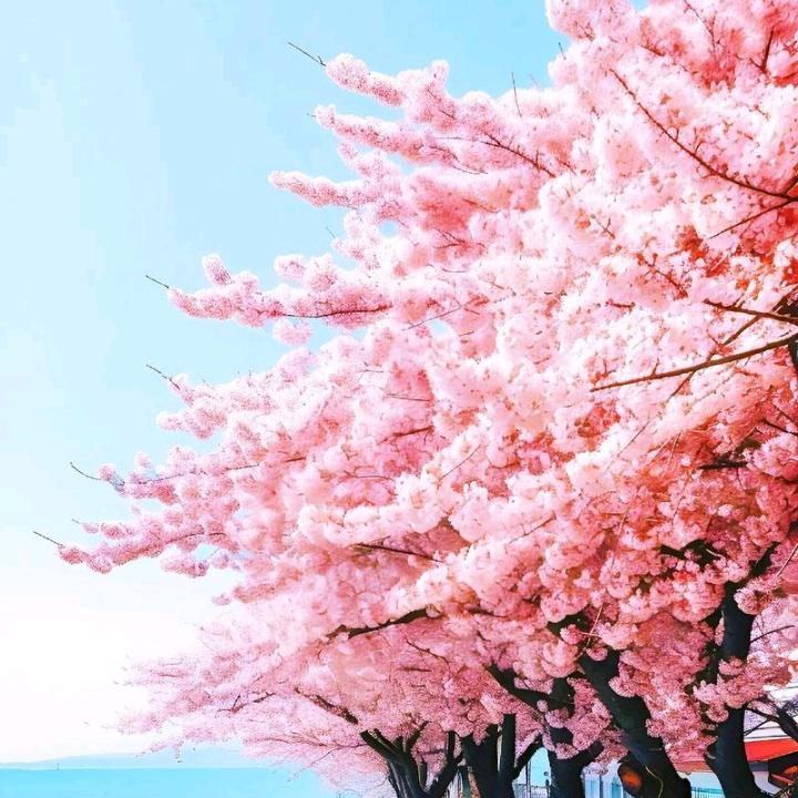 阳光
