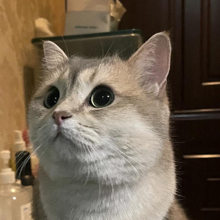 JC