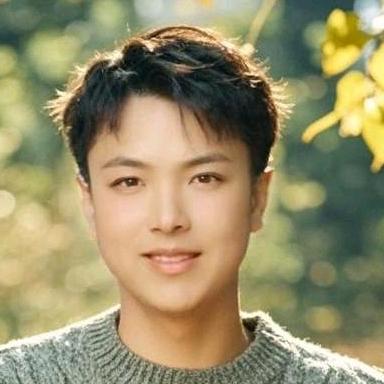 河南小杨，对口型