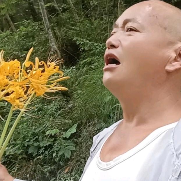 ꧁꫞꯭󾓭️春天里的阳光󾓭️꧂