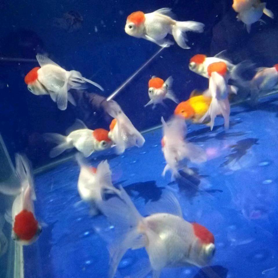顺其自然
