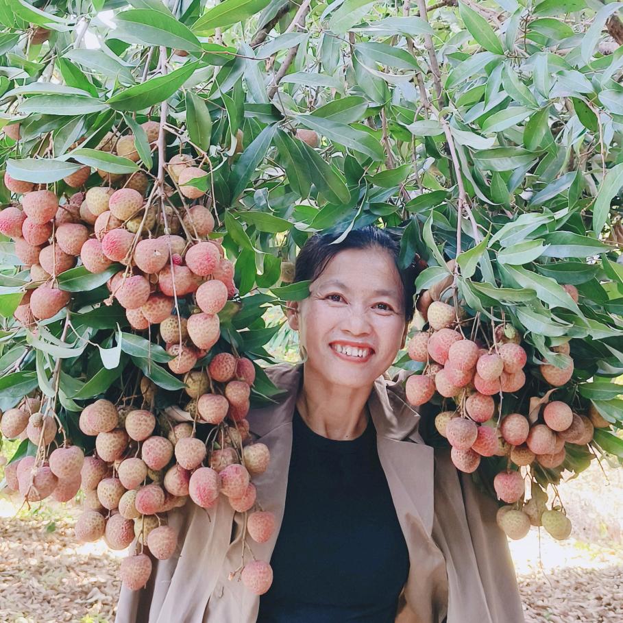 漳浦麦园埔凤姐