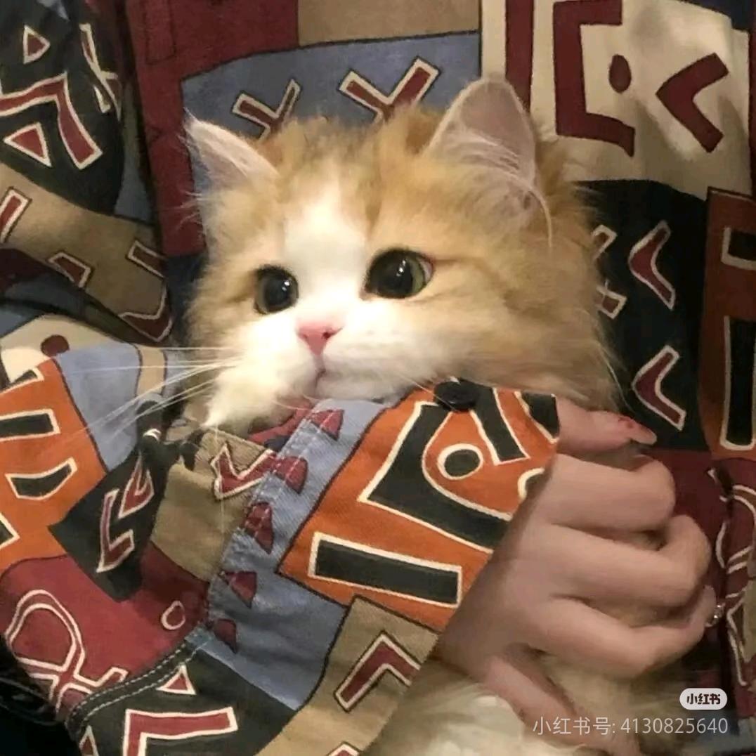 你好难哄